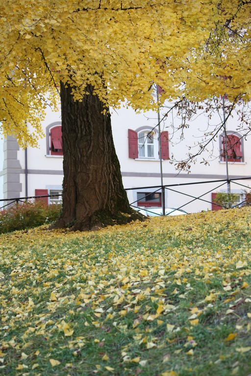 Garni Villa Waiz Roncegno Zewnętrze zdjęcie